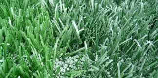 La posa del prato sintetico 1127 0 La posa del prato sintetico.JPG